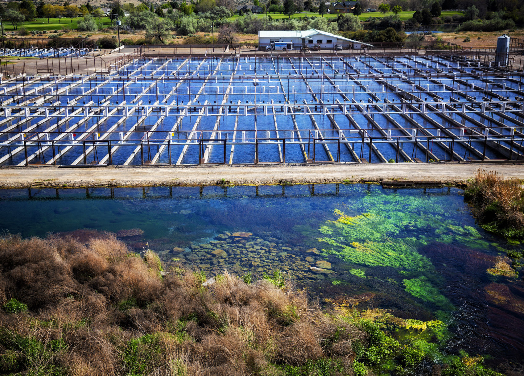 Aquaculture water